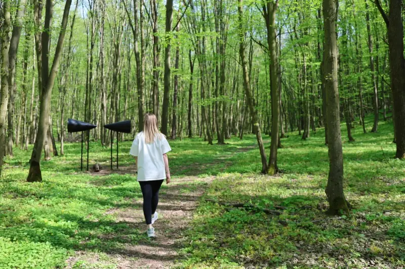 Шум лісу 01