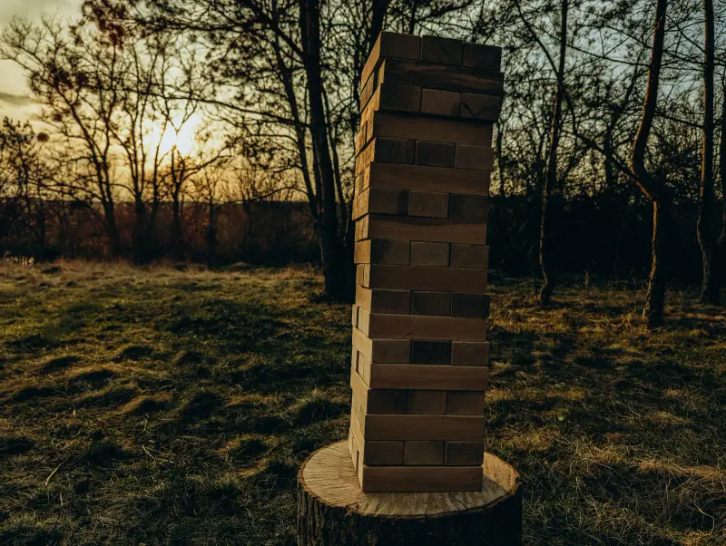 Джанга 01
