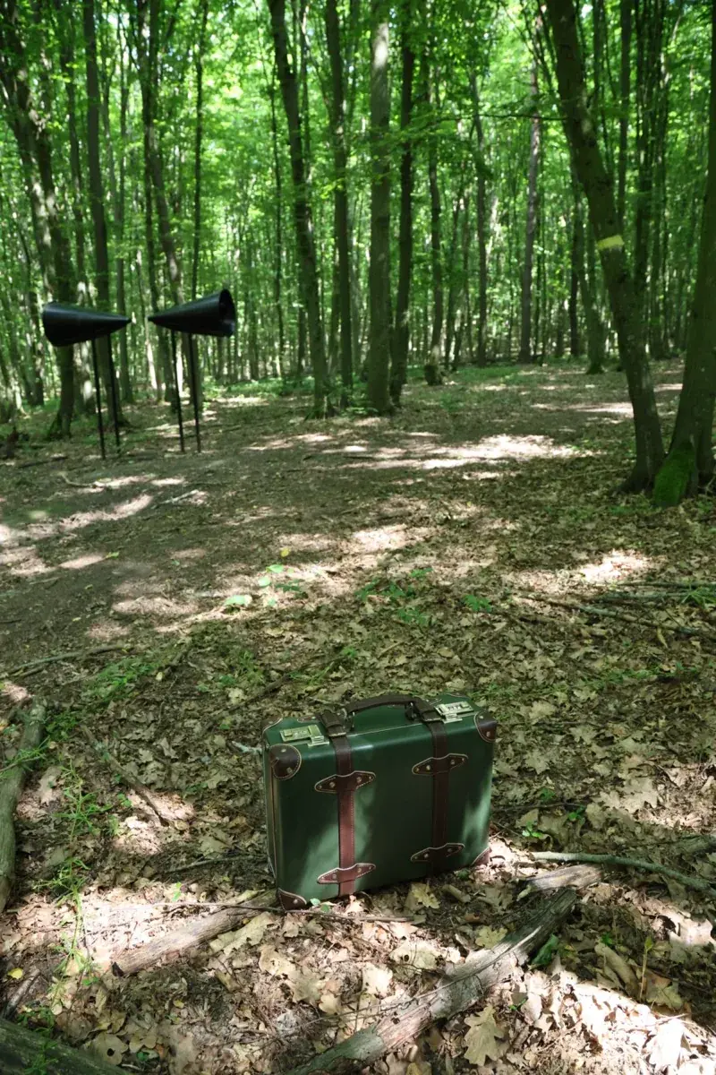 У лісі
